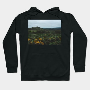 Morning Hours in Dartmoor NP Hoodie